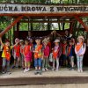 Jedziemy do ZOO - Lisów 