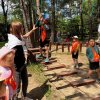 Jedziemy do ZOO - Lisów 