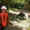 Jedziemy do ZOO - Lisów 