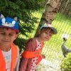 Jedziemy do ZOO - Lisów 