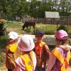 Jedziemy do ZOO - Lisów 