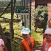 Jedziemy do ZOO - Lisów 