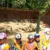 Jedziemy do ZOO - Lisów 