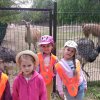 Jedziemy do ZOO - Lisów 