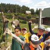 Jedziemy do ZOO - Lisów 