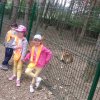 Jedziemy do ZOO - Lisów 