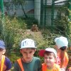 Jedziemy do ZOO - Lisów 