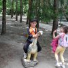 Jedziemy do ZOO - Lisów 