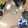 Eksperymenty Elfów 
