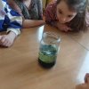 Eksperymenty Elfów 