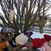 Dokarmiamy ptaki