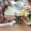 Wypieki z masy solnej