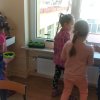 Sadzimy, siejemy