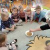 Kicia kocia gotuje
