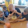 Elfy kiszą kapustę