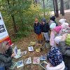 Warsztaty z panią leśnik