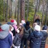 Warsztaty z panią leśnik