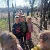 Mini ZOO
