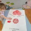 Zajęcia z praw i obowiązków