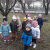 Motylki dokarmiają ptaszki