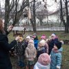 Motylki dokarmiają ptaszki