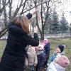 Motylki dokarmiają ptaszki