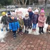 Motylki dokarmiają ptaszki