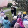 Motylki dokarmiają ptaszki