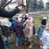 Motylki dokarmiają ptaszki