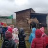 Wycieczka do Mielca i ZOO
