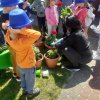 „Zielone ogródki przedszkolaków” 2023