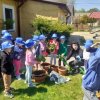 „Zielone ogródki przedszkolaków” 2023