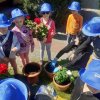 „Zielone ogródki przedszkolaków” 2023