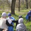 Przedszkolaki o przyrodę dbają i z Eneą okolice
