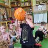 Dzień dyni