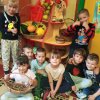 Kącik przyrody - Koniczynki