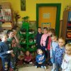 Kącik przyrody - Koniczynki