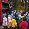 Konkurs plastyczny "POŁANIECKI JESIENNY LAS"