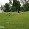 Wycieczka do Kurozwęk