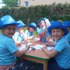 Dzień niezapominajki