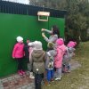 Zimą pamiętamy o ptakach