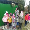 Zimą pamiętamy o ptakach