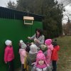 Zimą pamiętamy o ptakach