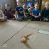 Tęczowi mieszkańcy Amazonii