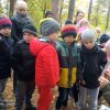 Warsztaty leśne pt: "Las to tlen i życie"
