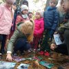 Warsztaty leśne pt: "Las to tlen i życie"