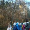 Warsztaty leśne