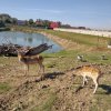 Wycieczka - Zwierzyniec Ostoja Słowianka