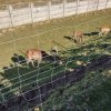 Wycieczka - Zwierzyniec Ostoja Słowianka