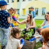 Przedszkolne działania